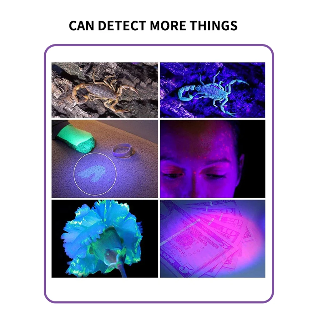 365 UV Veterinary Wood Lamp Pet Fungus Detection Waterproof Flashlight Skin Ultraviolet Light Cat Moss Tinea Light Black Mirror