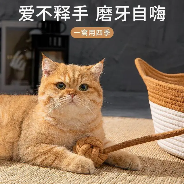 Summer Cool Pet Bed Rattan Cat Nest House Fashion Sleeping Basket Hand-woven Dog Breathable Bed Natural Plant Mat 3