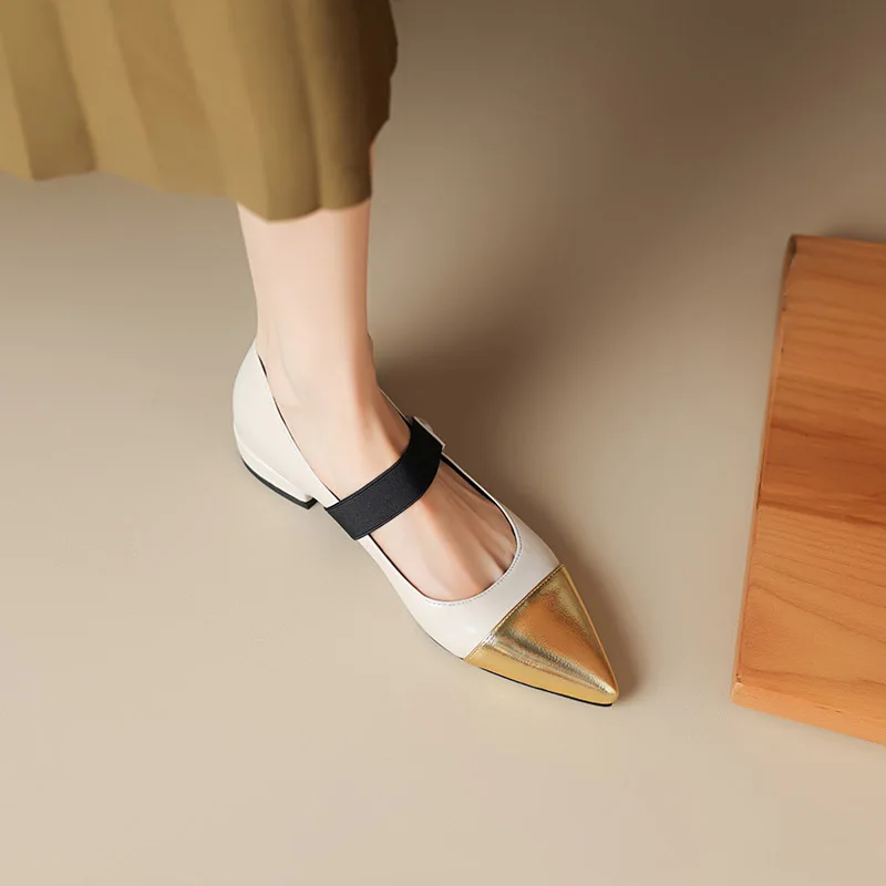 

Phoentin mixed colors mary janes shoes 2024 new Women's plus size 43 party Shoes elegant pointed toe low heels wholesale FT3138