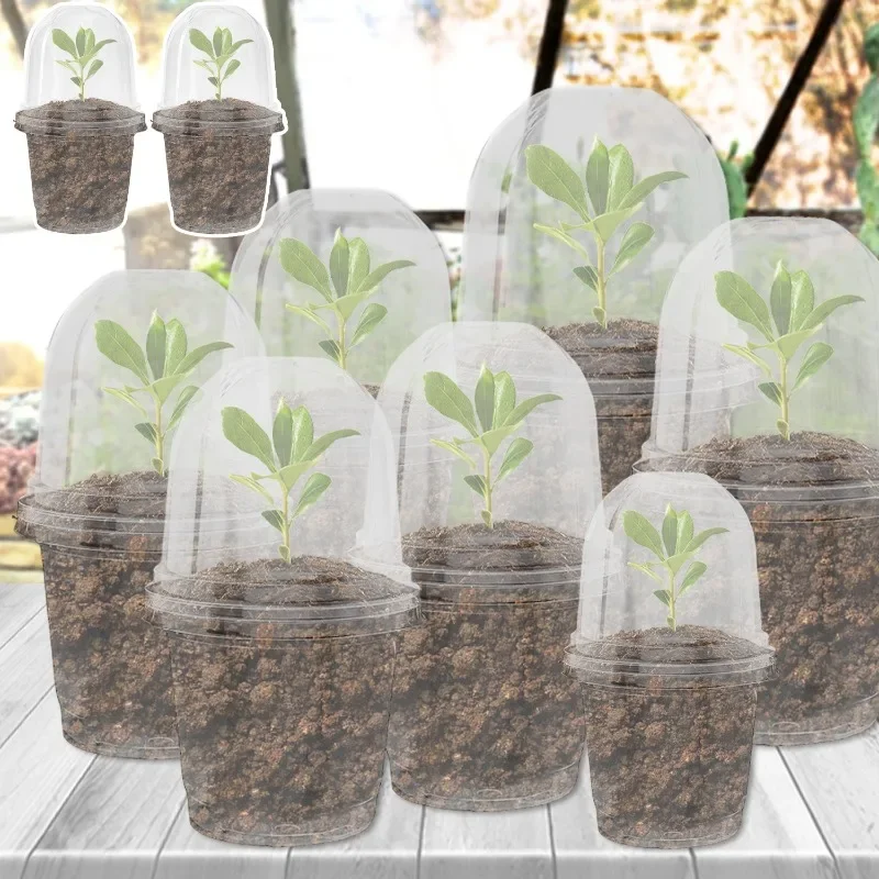 Clear Nursery Pots with Covers - Plant Seedling Holders and Garden Containers (5/10 Pack)