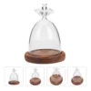 Angel Glass Cover Display Dome Candlestick Holders with Wood Base Mini Eternal Flower Vase Paper Cup Decorative Design 2