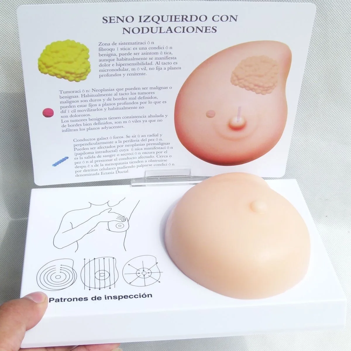 Breast Self-Exam Training Model 3