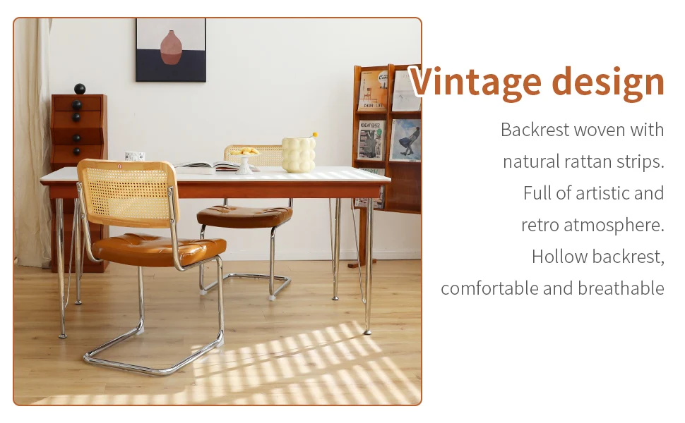 morden leather rattan side accent chairs dining chair set of 2 with chrome legs 