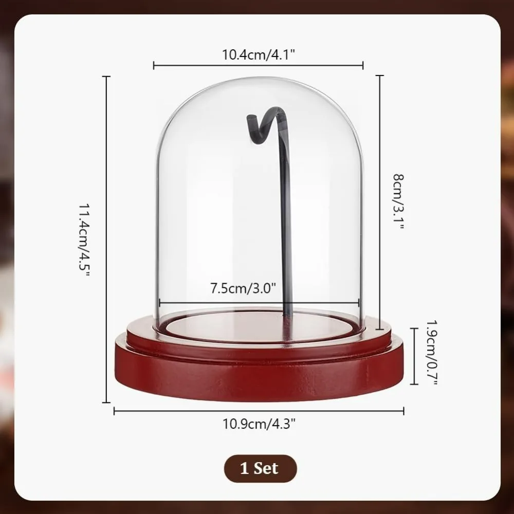 Watch Box 3 x 4 inch Pocket Watch Display Case Glass Watch Dome Cloche with Metal Hook Display Jar with Wood Base Glass Dome