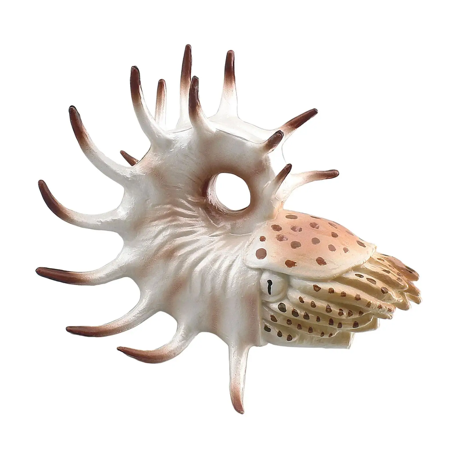 Sea Animal Model Toy Education Collection Nautilus Model for Boy Girls Teens