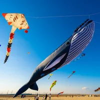 30D 9M Whale Inflatable Soft Kite Performance Hanger Beach Nylon Kites Tearproof and Easy To Fly Cometa Linha De Pipa 1