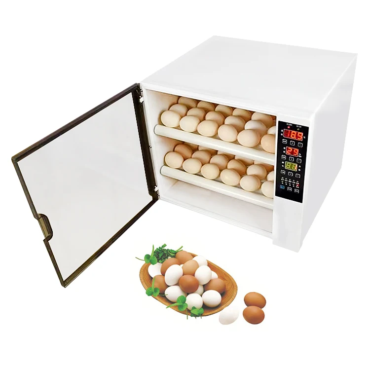 

Hot sale dual power 60 pcs professional poultry automatic chicken egg incubator hatching machine