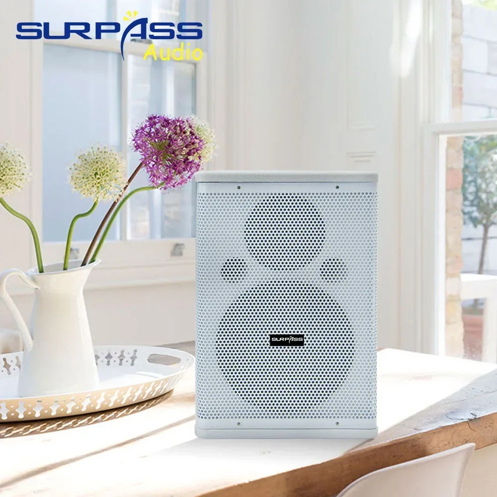 80W High-power Professinal Speaker Two Way 8ohm Pubilc Address Background Music HiFi Desktop TV Home System Passive Loudspeaker