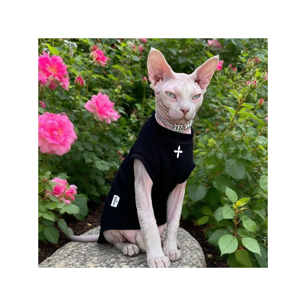 Sphynx Cat T-Shirt — Soft Cotton Short-Sleeve
