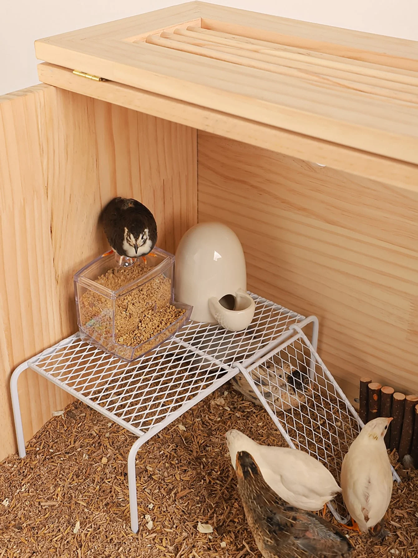 1pc-Rutin Chicken Platform Rutin Chicken Cage Landscape Platform Metal Chicken Rack