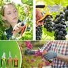 3PCS Garden Scissors Set Gardening Tool Scissors Stainless Steel Professional Gardening Scissors with Non-slip Ergonomic Handles 4