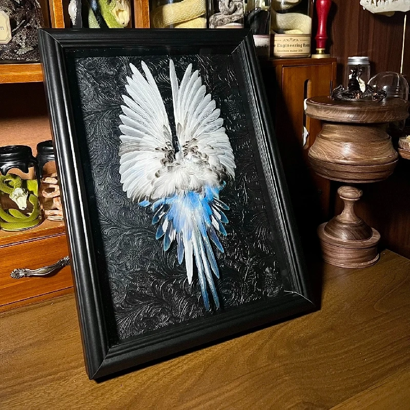 

2163 Original Bird Feather Handmade Article Room Desktop Decoration Creative Birthday Gift Gothic Dark Style Art Specimen