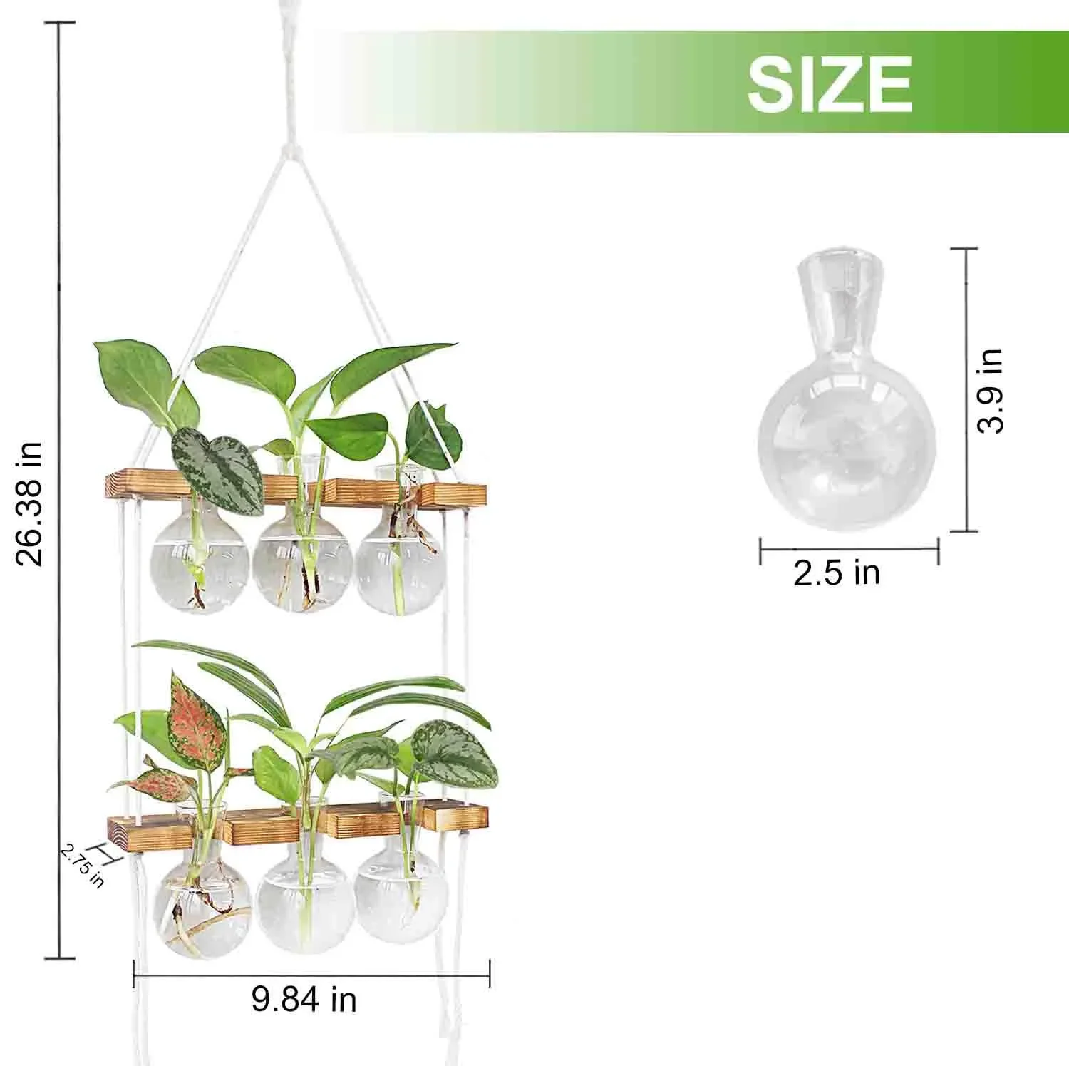 Plant Propagation Station Wall Hanging Glass Vases 2