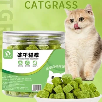 50g Catgrass Grain Row Furry Hairball Pieces Freezedried Cat Snack Teeth Grinding Stick Catgrass Biscuits Cat Grinding Teeth 1