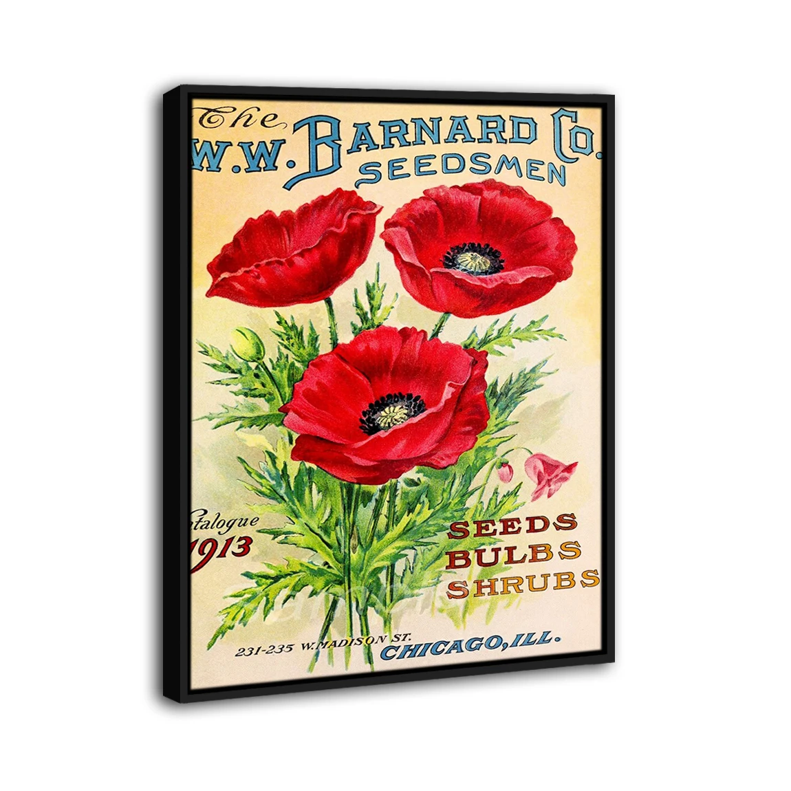 

1913 Poppy Flowers Advertising Framed Poster Print Home Decor Wall Art Painting Oil Canvas