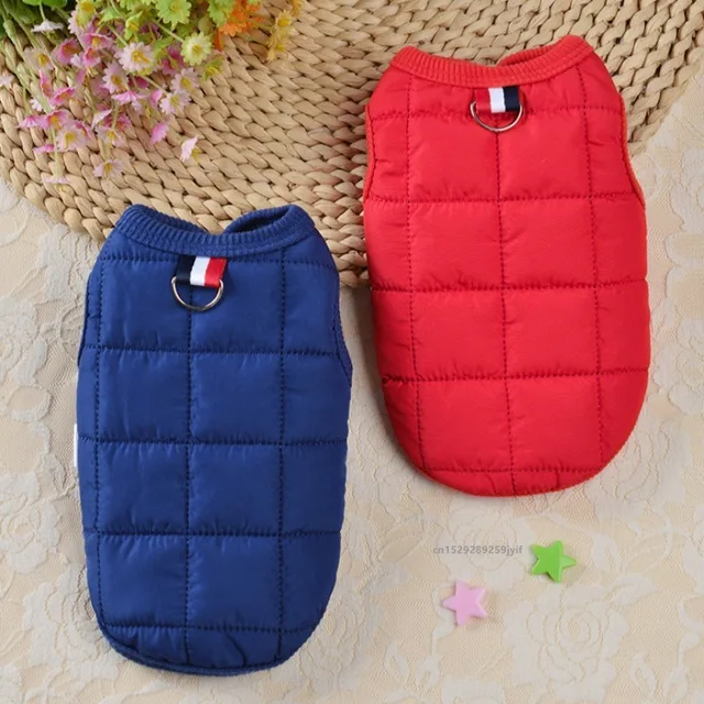 Winter Warm Dog Coat 3
