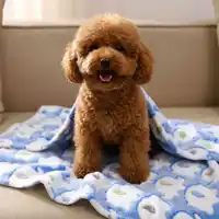 Plus de choix de couleurs Couverture de lit pour animaux de compagnie Couverture plus chaude en peluche pour chiens et chats Couverture confortable d'hiver portable et douce pour canapé pour chiot 2