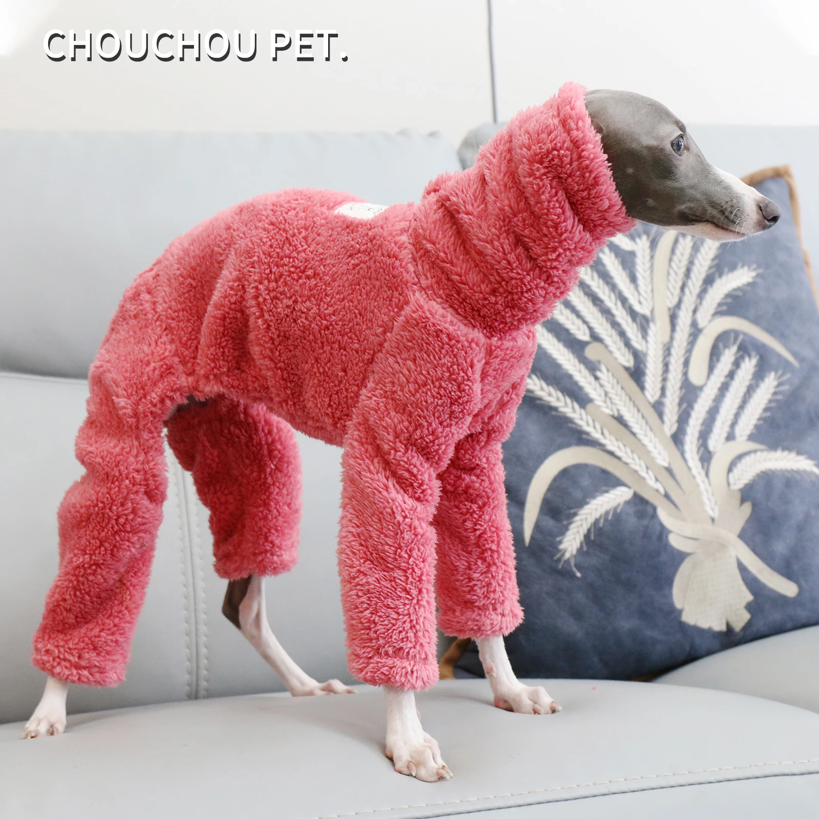 Quanto Costa un Piccolo Levriero Italiano? Prezzi da Allevamenti  Certificati | TikTok, image size:1600x1600