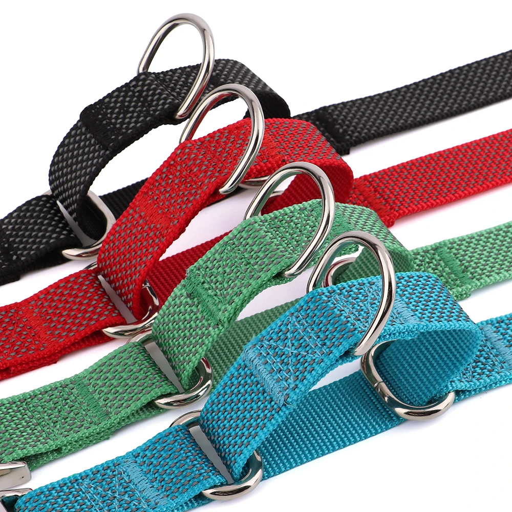 Custom Martingale Dog Collar 3