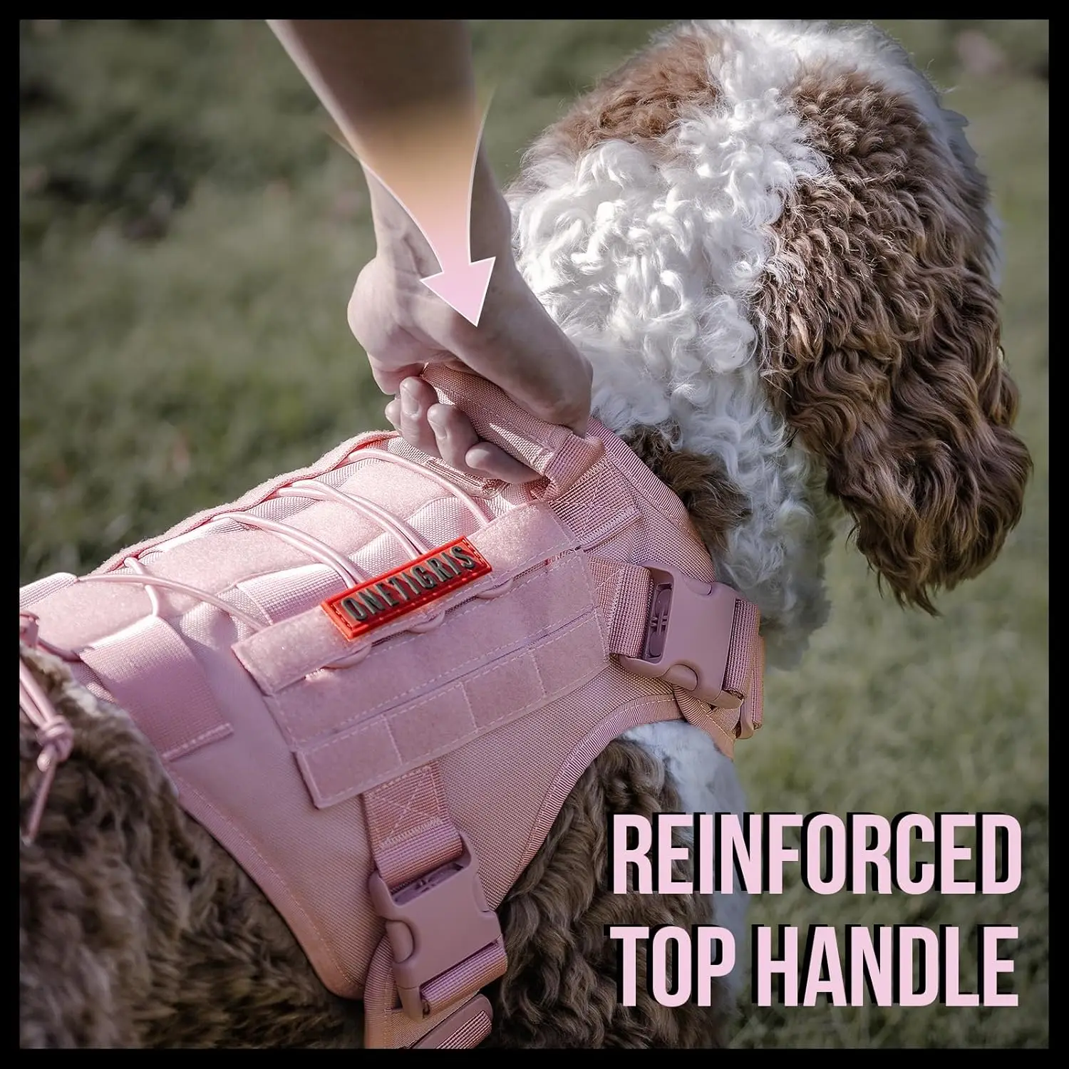 Pink harness in outdoor setting