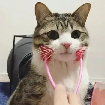 Multifunction Cat Thin Face Massager Pet Interactive Massage Feet Leg Massager Health Grooming Tool for Cat Pet Comfortable 4