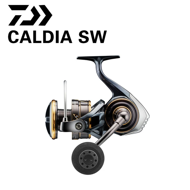DAIWA 2022 NEW CALDIA SW Original Spinning Fishing Reel 4000-18000 Series  Seawater Fishing Reels Deep