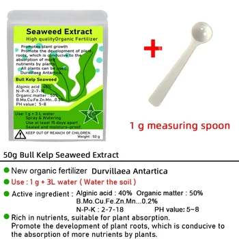 50g Bull Kelp Seaweed Extract Green New Organic Fertilizer Rich In Organic Matter Durvillaea Antartica Material 2