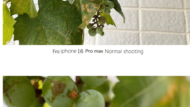 180 ° Fisheye Makro-Teleobjektiv-Handyhülle mit drei Gläsern für iPhone 16 Pro 16 Pro Max, Objektivfilter, Fotografie-Zubehör – Detail 12
