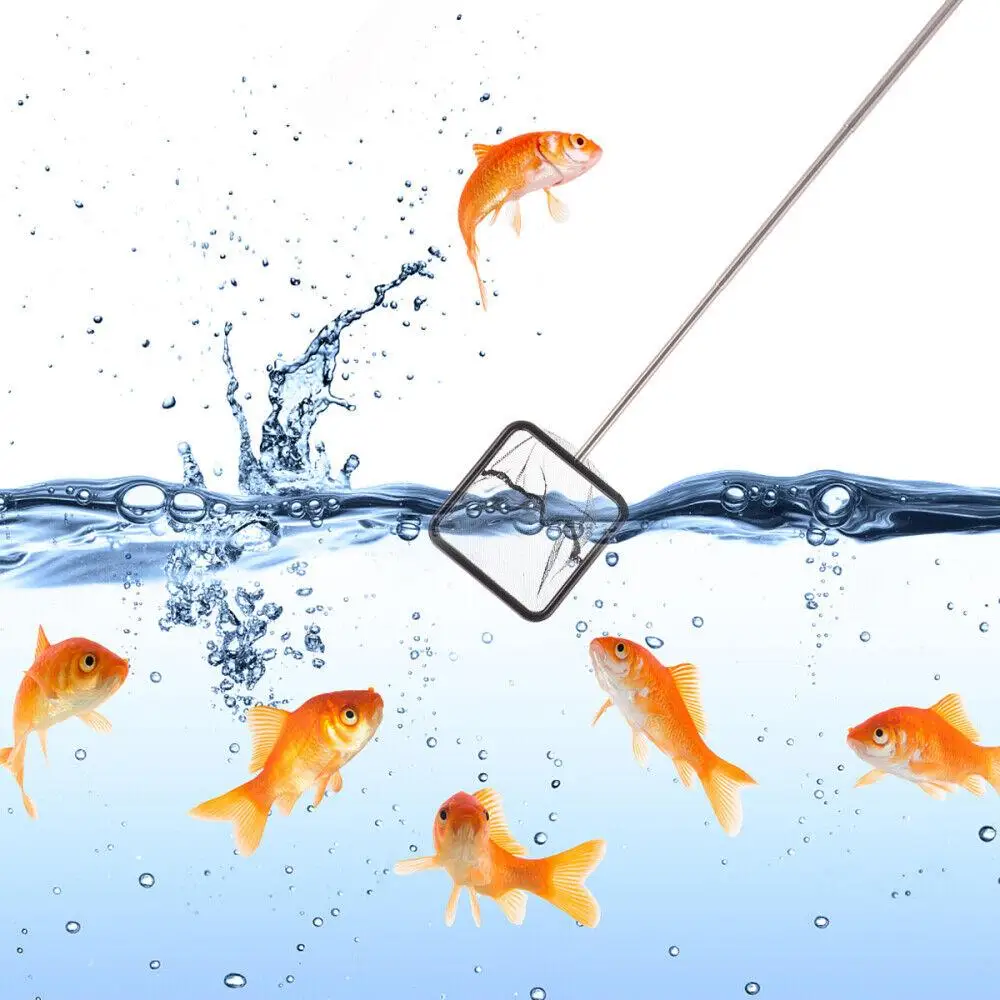 Net Pet Fish Net Fish Net Per Acquario Acquario Fish Nets Rete Da Allevamento Per Guppies Fish Tank Net Fish Breeding Net