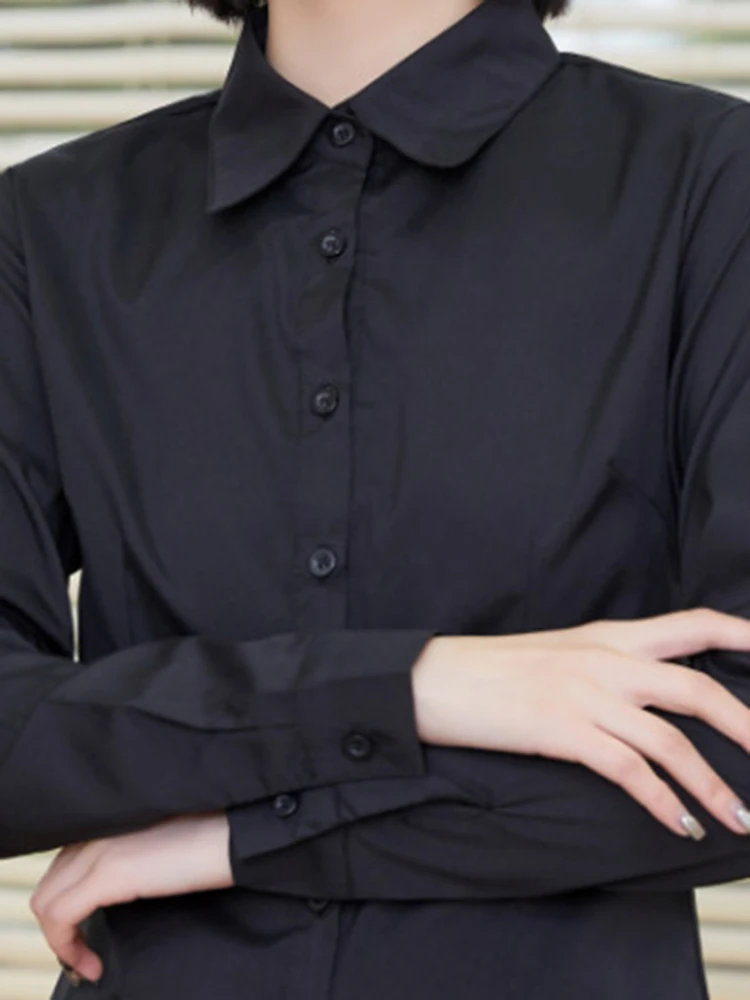 Women's Turn-Down Collar Long Sleeve Blouse - Office Lady Slim Fit