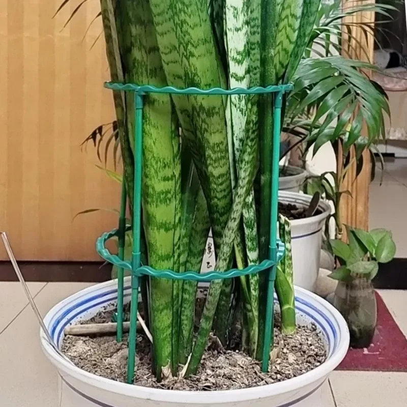 플라스틱 식물 지지대 파일 원형 지지대 프레임, 정원 발코니 꽃 심기 랙, 꽃 케이지 거치대 원예 관리 스탠드