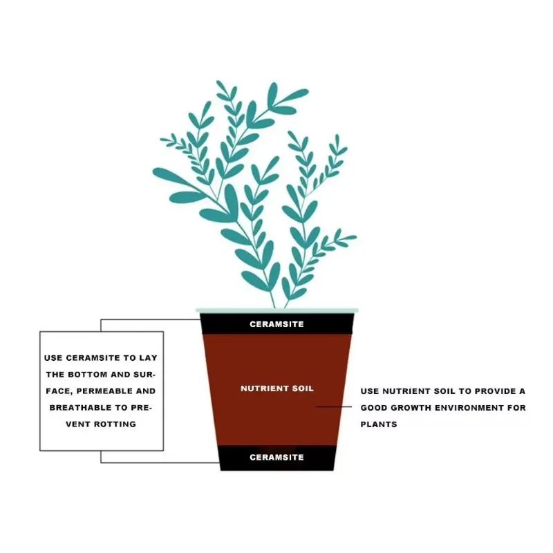 Flowers Succulents Potted Plants Paving Medium Soil Volcanic Rock Red Jade Soil Deer and Marsh Nutrient