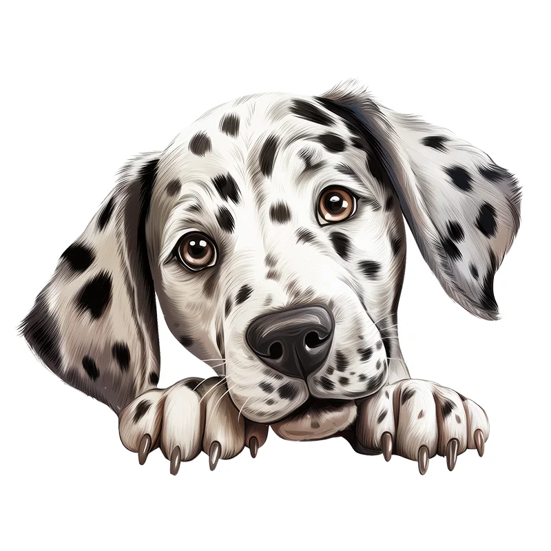 DK116# Prone Dalmatian Dog Stickers Decoration for Living Room, Wall, Bedroom, Toilet and Home Decor Car Decals Self-Adhesive