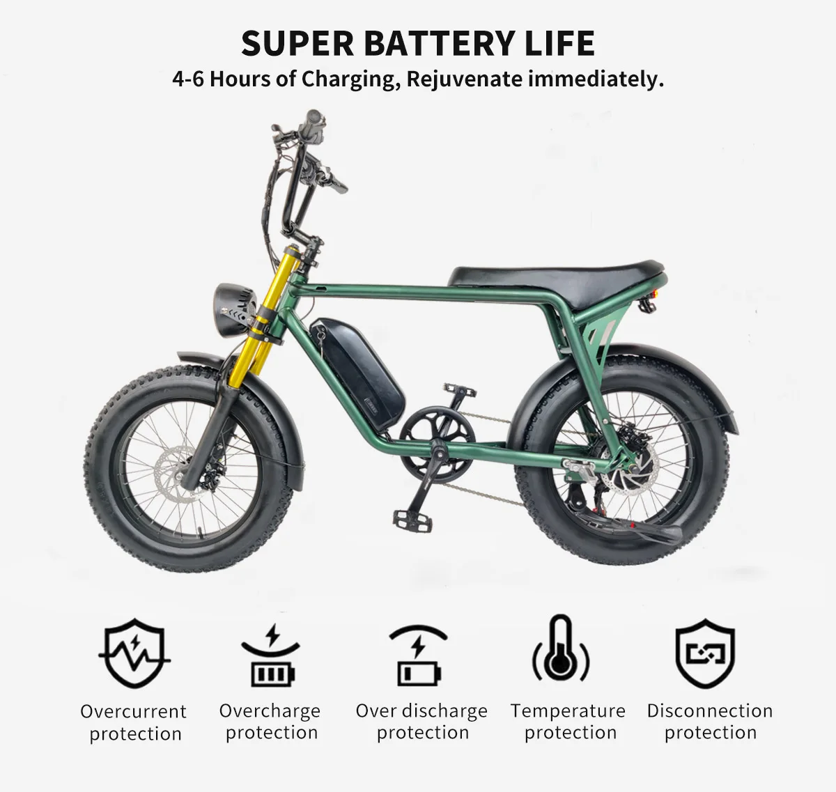 RoadAcc Electric Motorcycle Bicycle 48V 500W 1000W 13AH Aluminum Alloy Dual Crown Suspension Fork Electric Fat Tire Bike