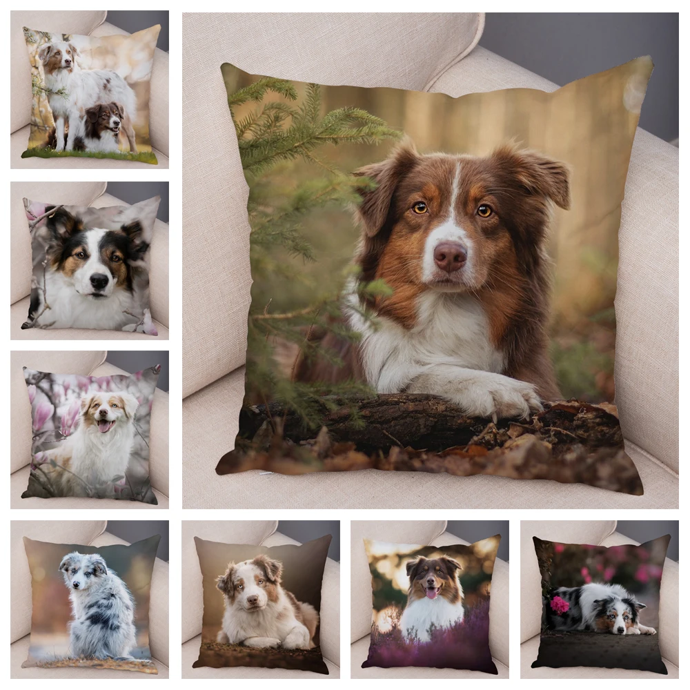 

Australian Shepherd PDog Animal pillow cushion cover case funda cojin cojines decorativos para sofá 45x 45 almofadas 쿠션커버 чехлы