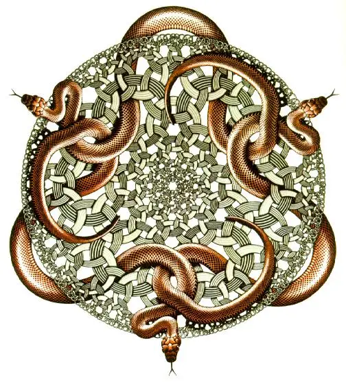 

Нидерландские маурицы кукурузные змеи Искусство Шелковый плакат настенное искусство домашняя декоративная живопись