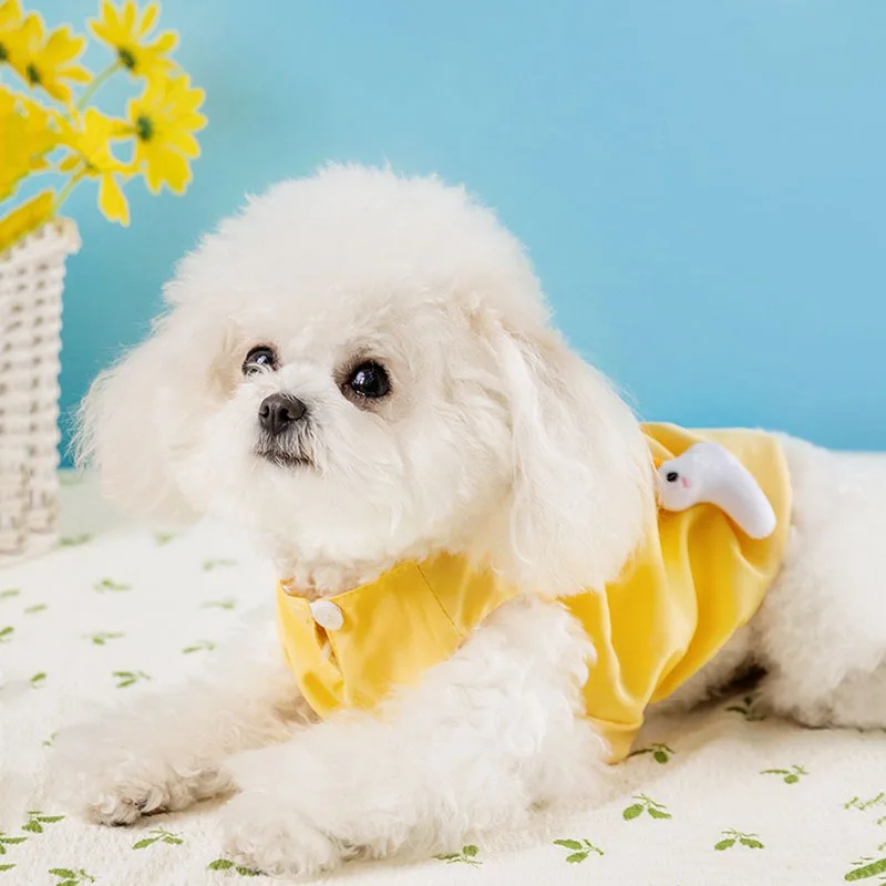 Small Dog Skirt Spring and Summer New Three-dimensional Dog Clothes Cute Little Yellow Duck Pullover Teddy Beautiful Clothes