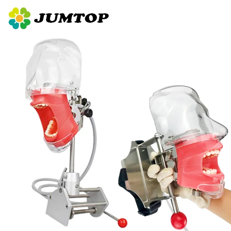 JUMTOP Dental Simple Head Modell Praxis Training Simulator Phantom Head Typodont abnehmbar