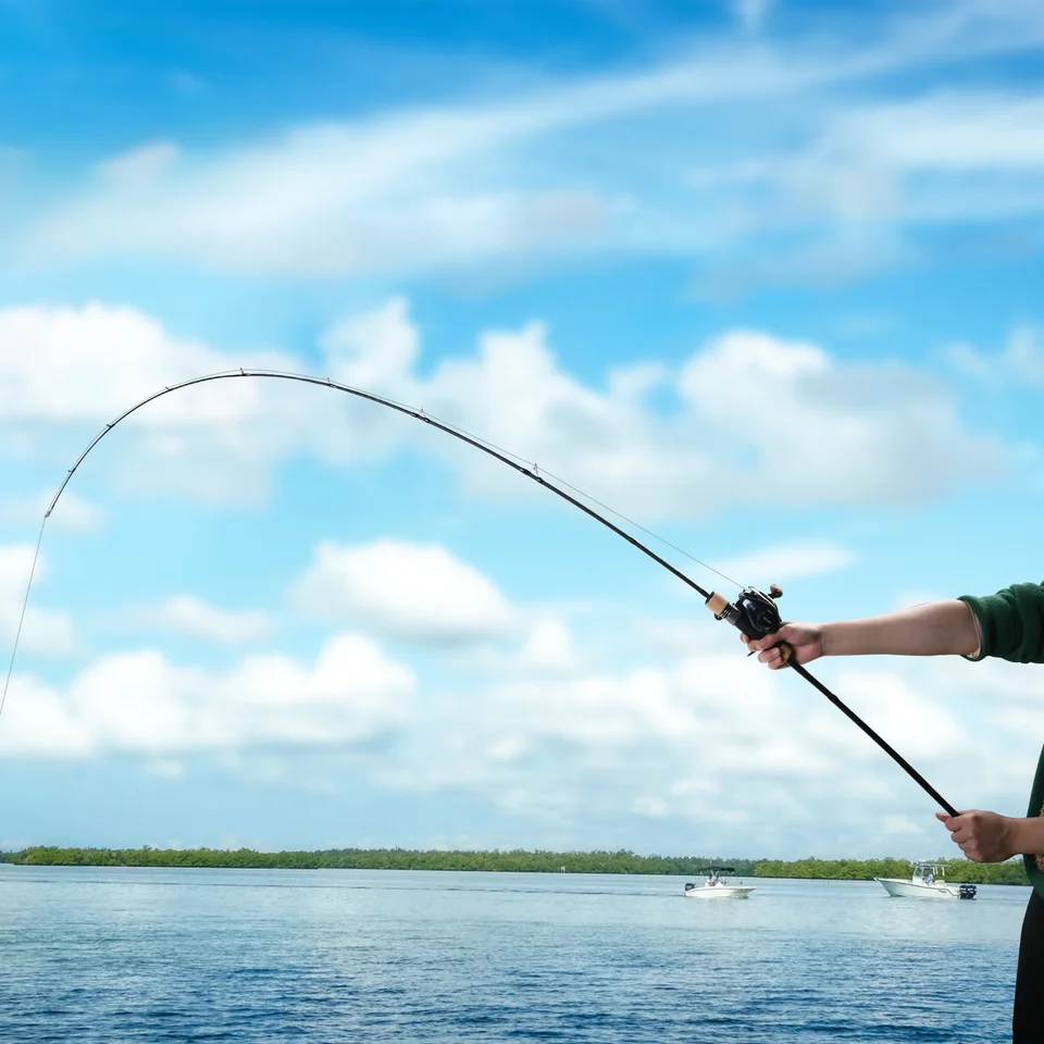 S3fe80b1d5dfe4e6f98b054548f9da S3fe80b1d5dfe4e6f98b054548f9da