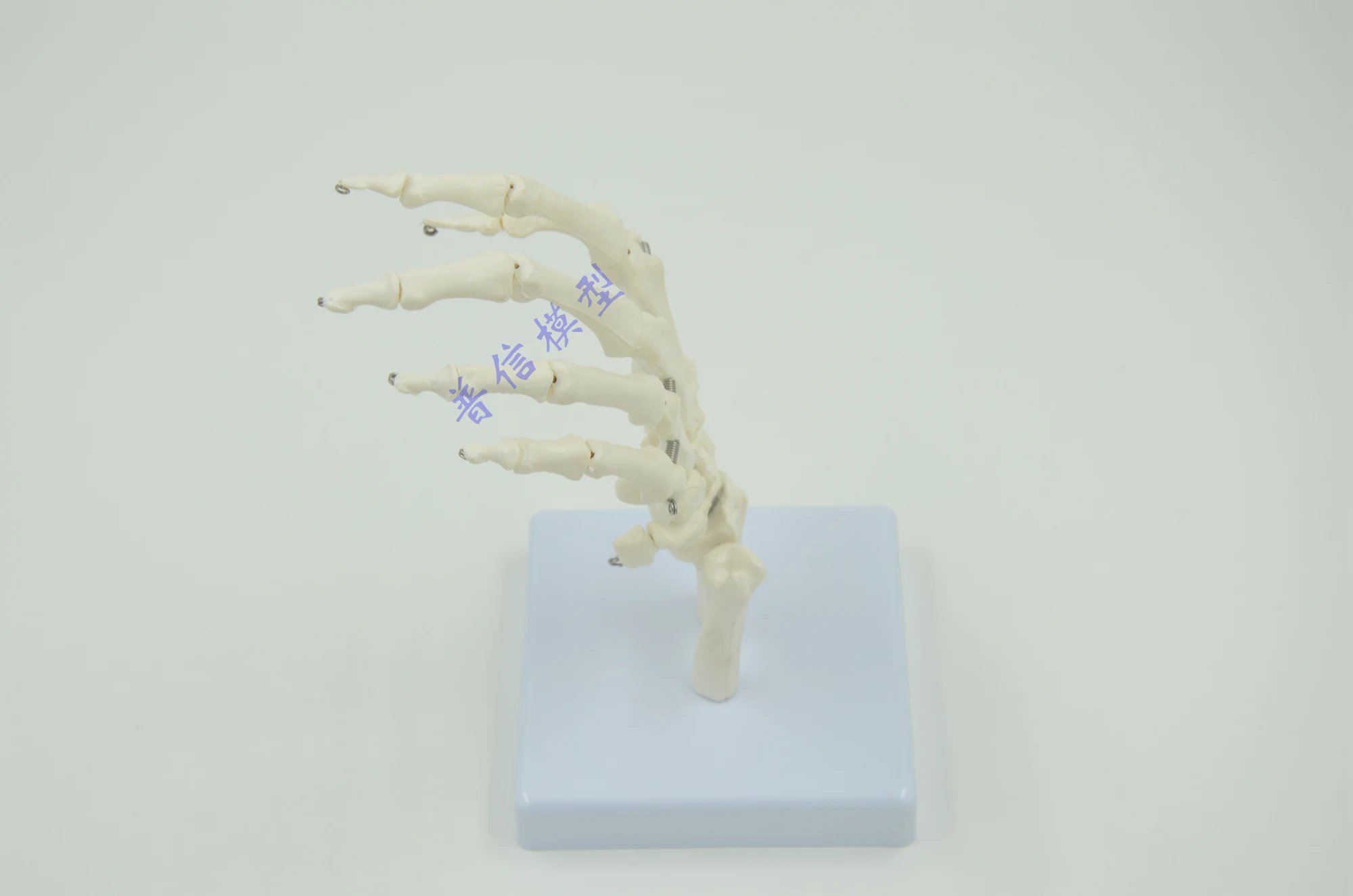 Human hand joint model hand skeleton model Medical Science teaching supplies