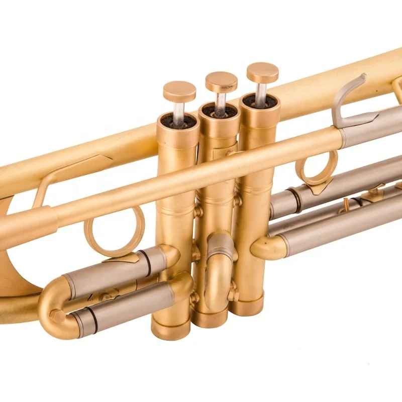 Pro Plus Heavy B-Flat Trumpet in Brushed Gold Band Playing Brass Instrument with EB Tone Lacquer Surface