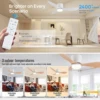 IRALAN Ceiling Fan With Light, 6-speed choice, Reversible DC motor, 3CCT, Dimmable, Whisper, Easy Install, black/White/Wood 2