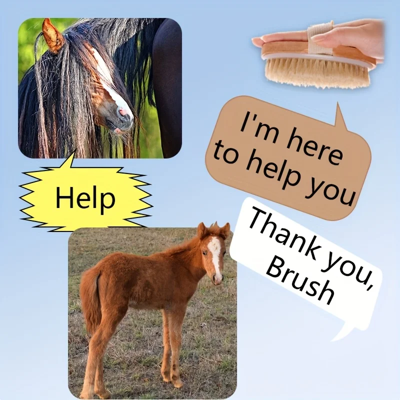 2pcs Natural Horse Hair Detangling Brushes 5
