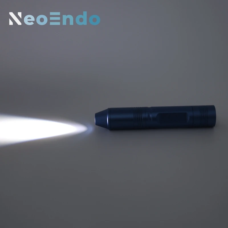 Rechargeable Portable Endoscope Light Source LED 10W For ENT Inspection or Surgery Teaching