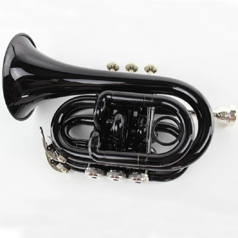 Beginner Western Wind Instrument, B Flat Pocket, Black Palm Instrument