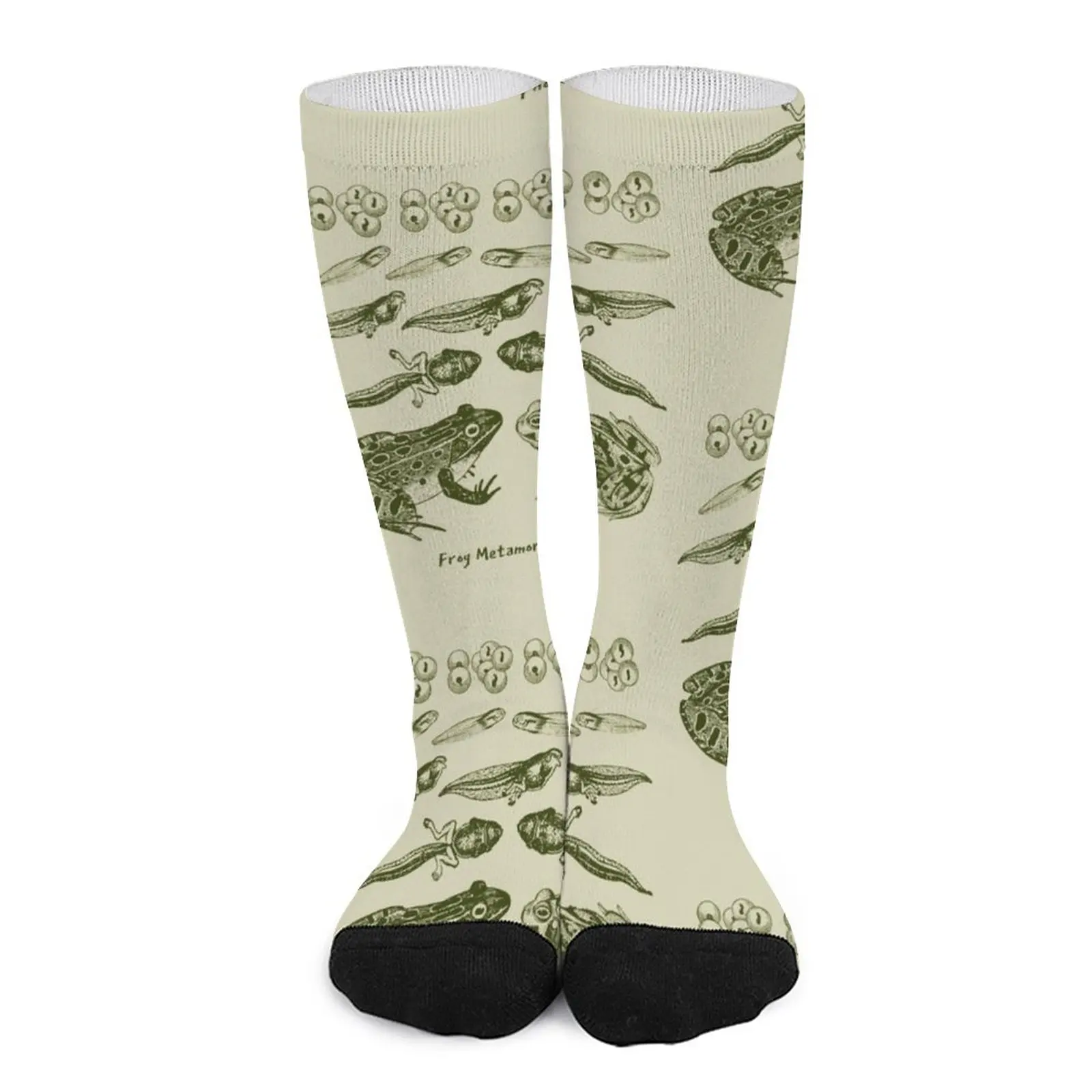 Vintage Biology: Frog Life Cycle Metamorphosis from Toad to Tadpole for Science Lovers and Natural History Enthusiasts Socks the history of architecture from the avant garde