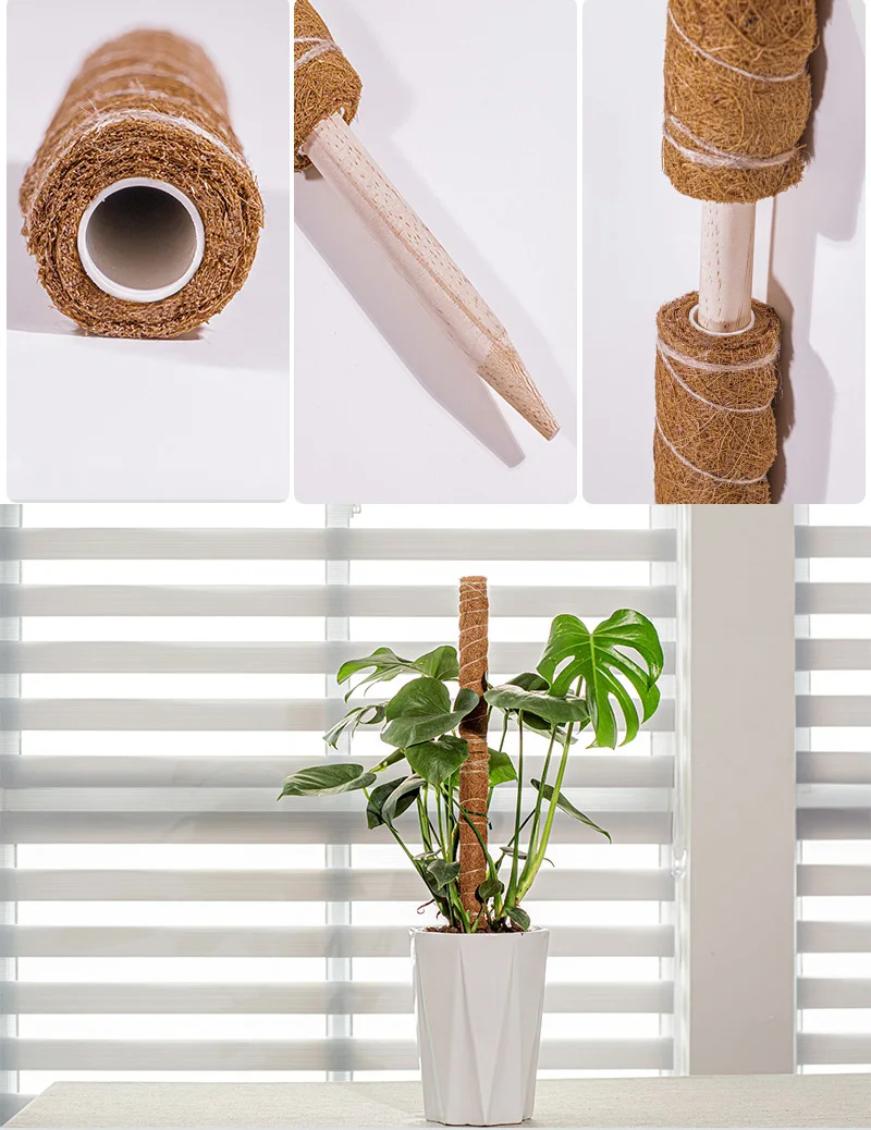Plant Climbing Support Coconut palm sticks Extendable and deformable for gardening plant accessories
