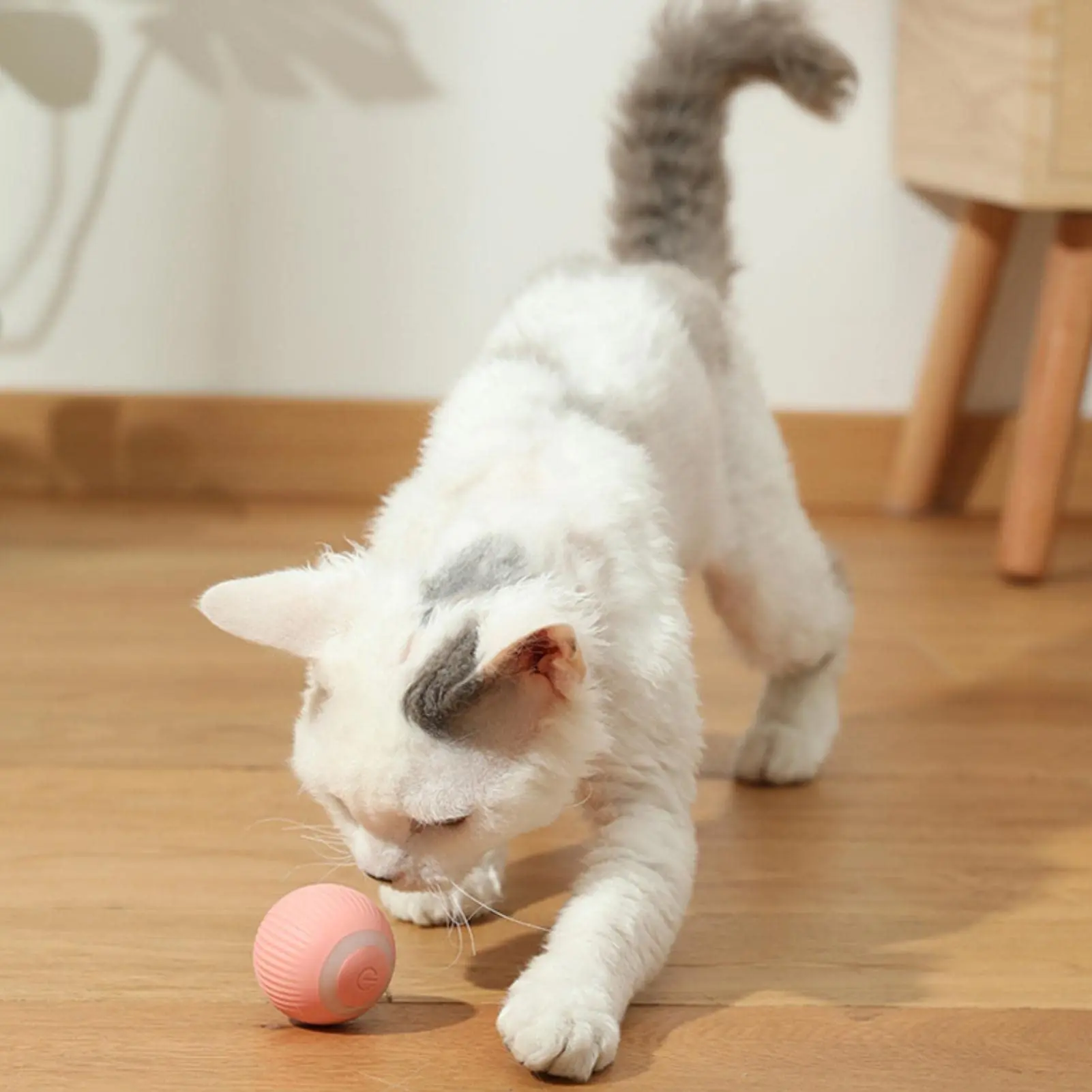 Biilaflor Brinquedo Automático 2 em 1 para Gatos 360 de Rotação