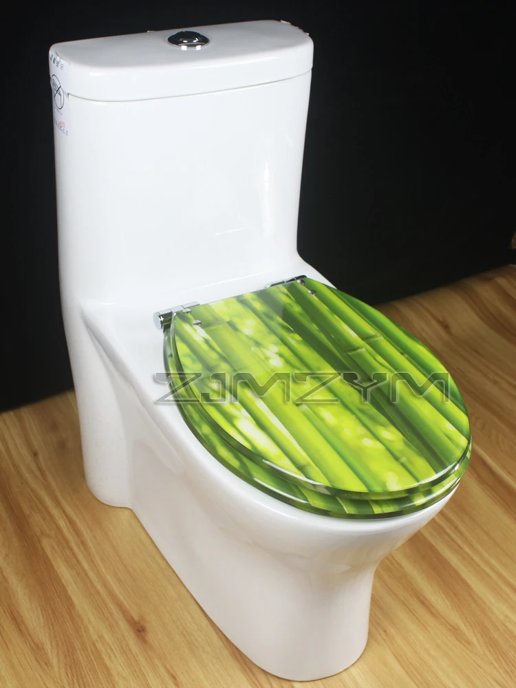Description Picture 4 of itemUnique Resin Toilet Cover Beautiful Design Toilet Seat Cover Thickened Toilet Cover Stainless Steel Slow Down Toilet Cover
