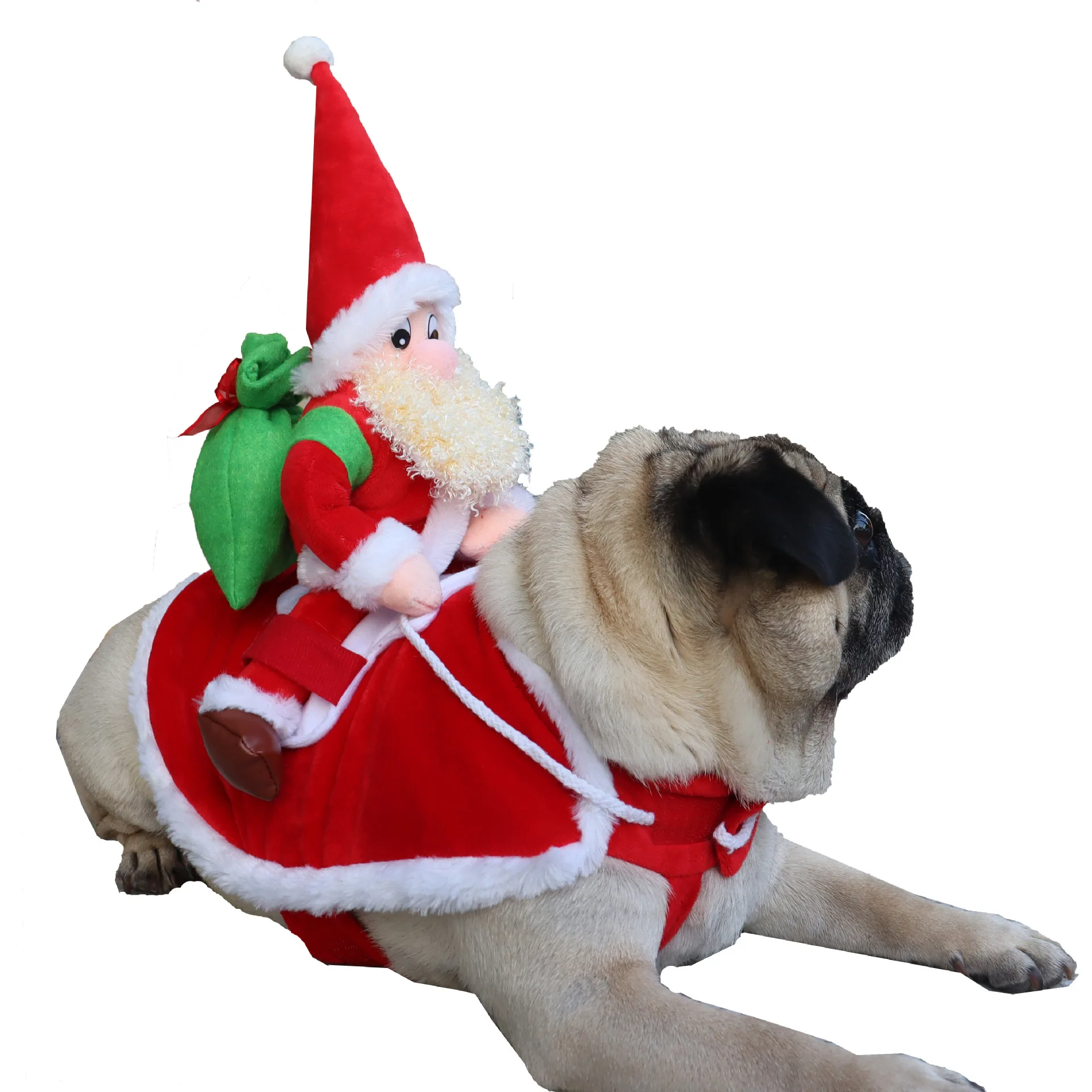Santa